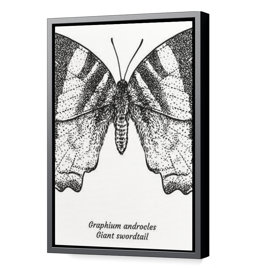 Thumbnail for Canvas - Black Floating Frame