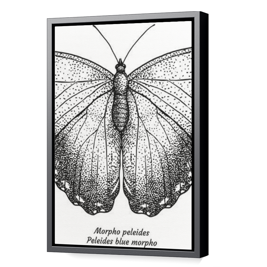 Thumbnail for Canvas - Black Floating Frame