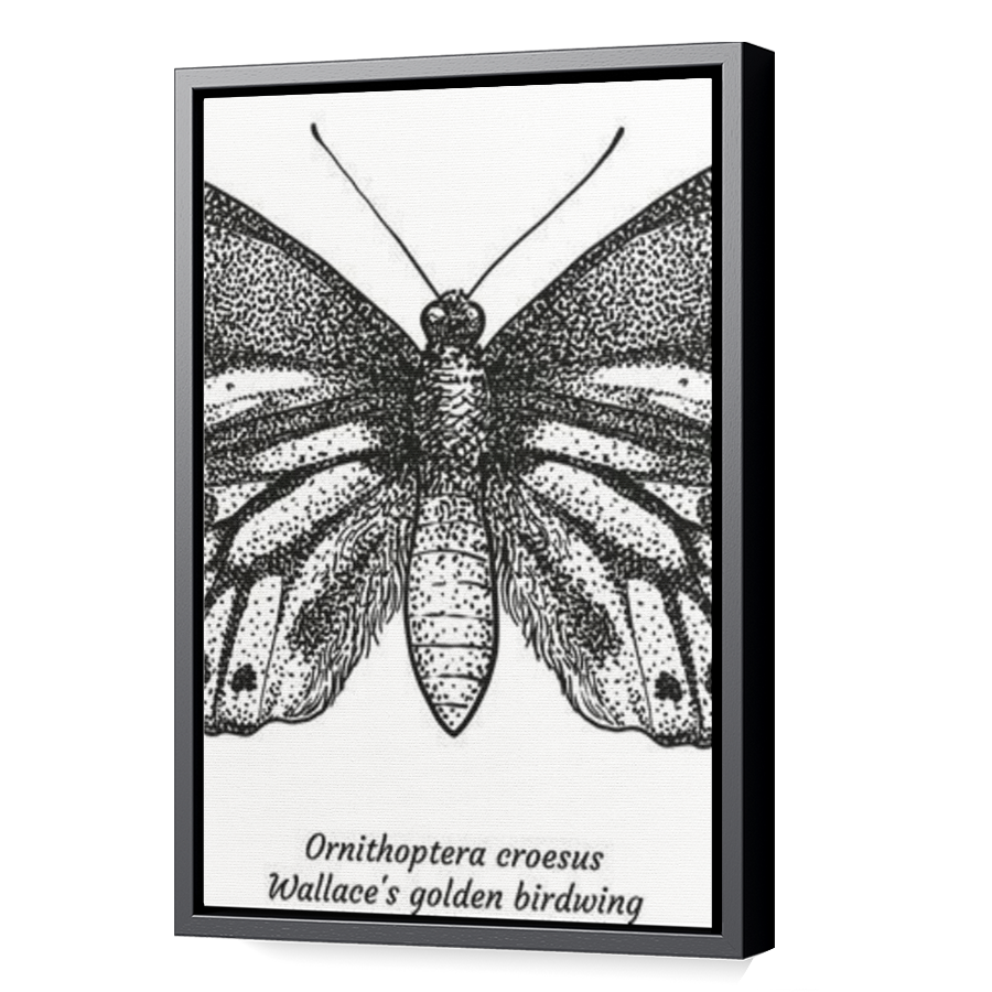 Thumbnail for Canvas - Black Floating Frame