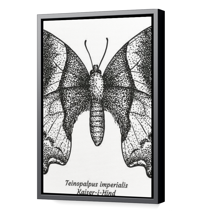 Thumbnail for Canvas - Black Floating Frame