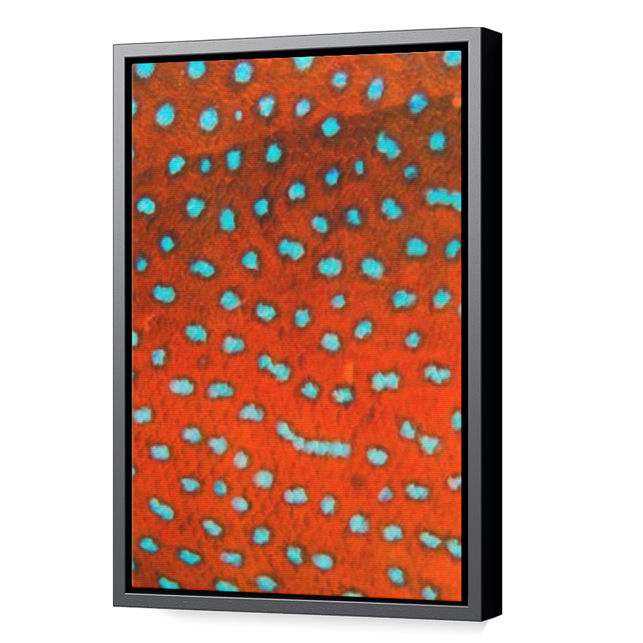 Thumbnail for Canvas - Black Floating Frame