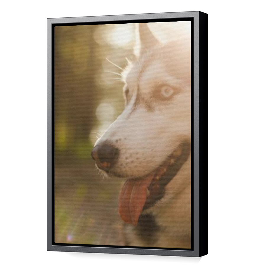 Thumbnail for Canvas - Black Floating Frame