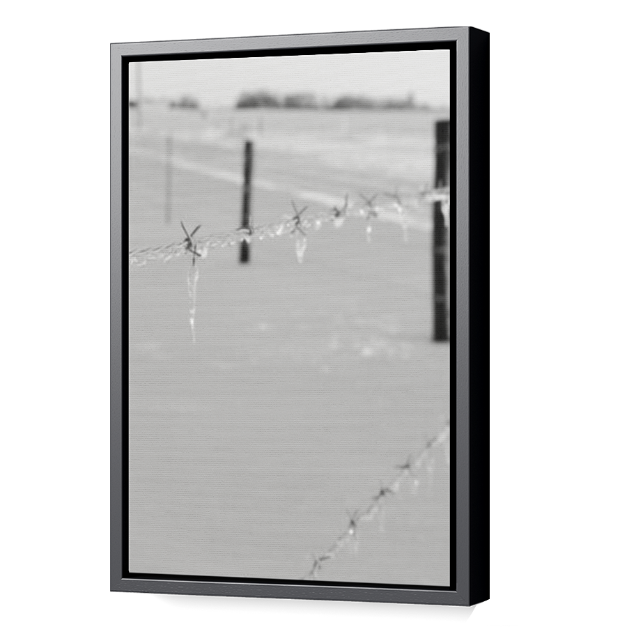 Thumbnail for Canvas - Black Floating Frame