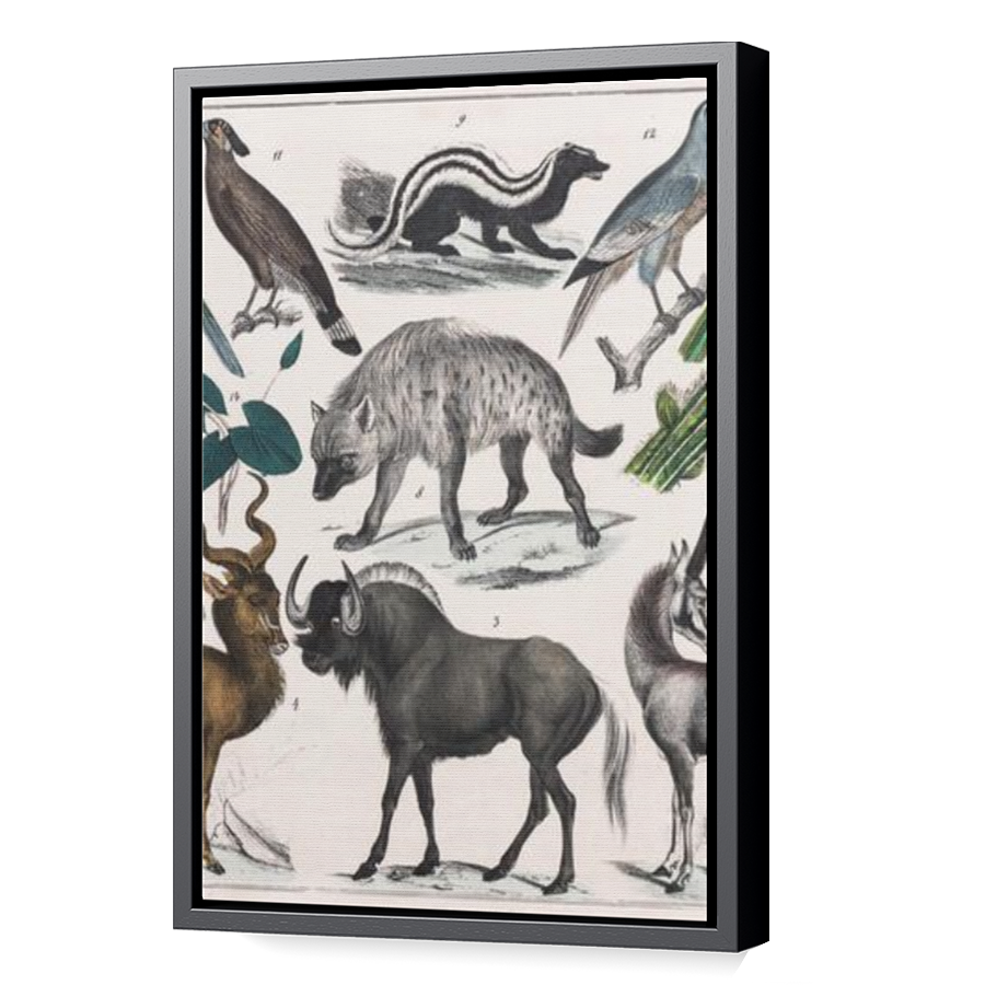 Thumbnail for Canvas - Black Floating Frame