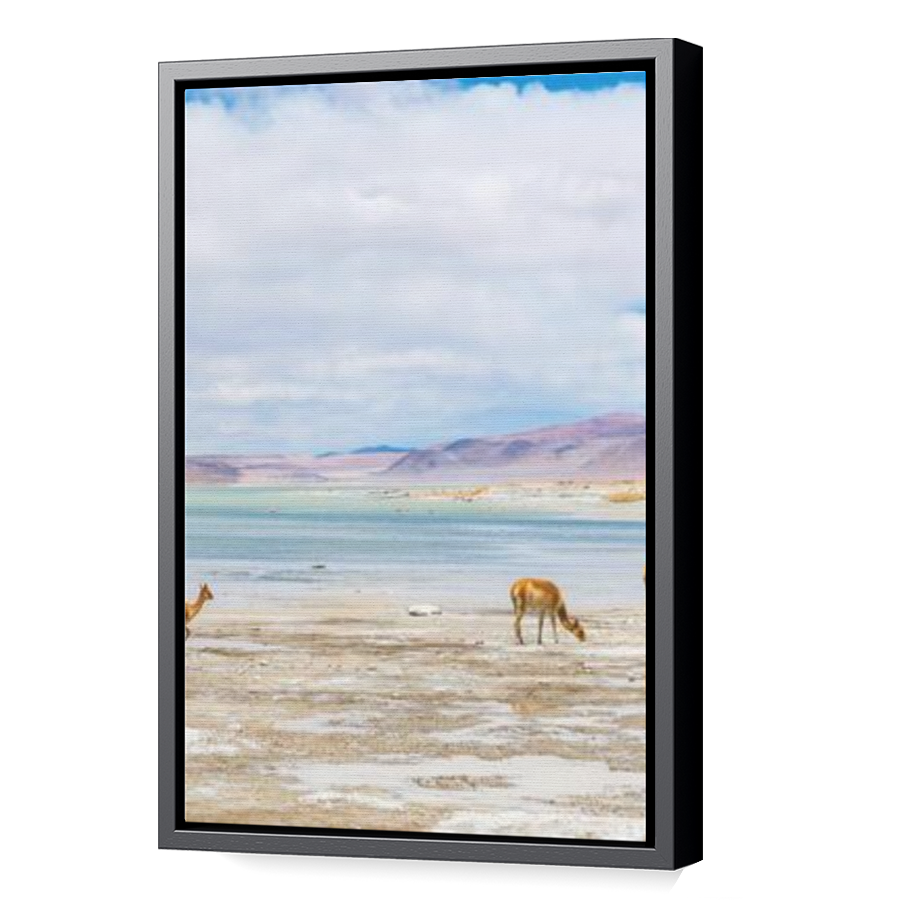 Thumbnail for Canvas - Black Floating Frame
