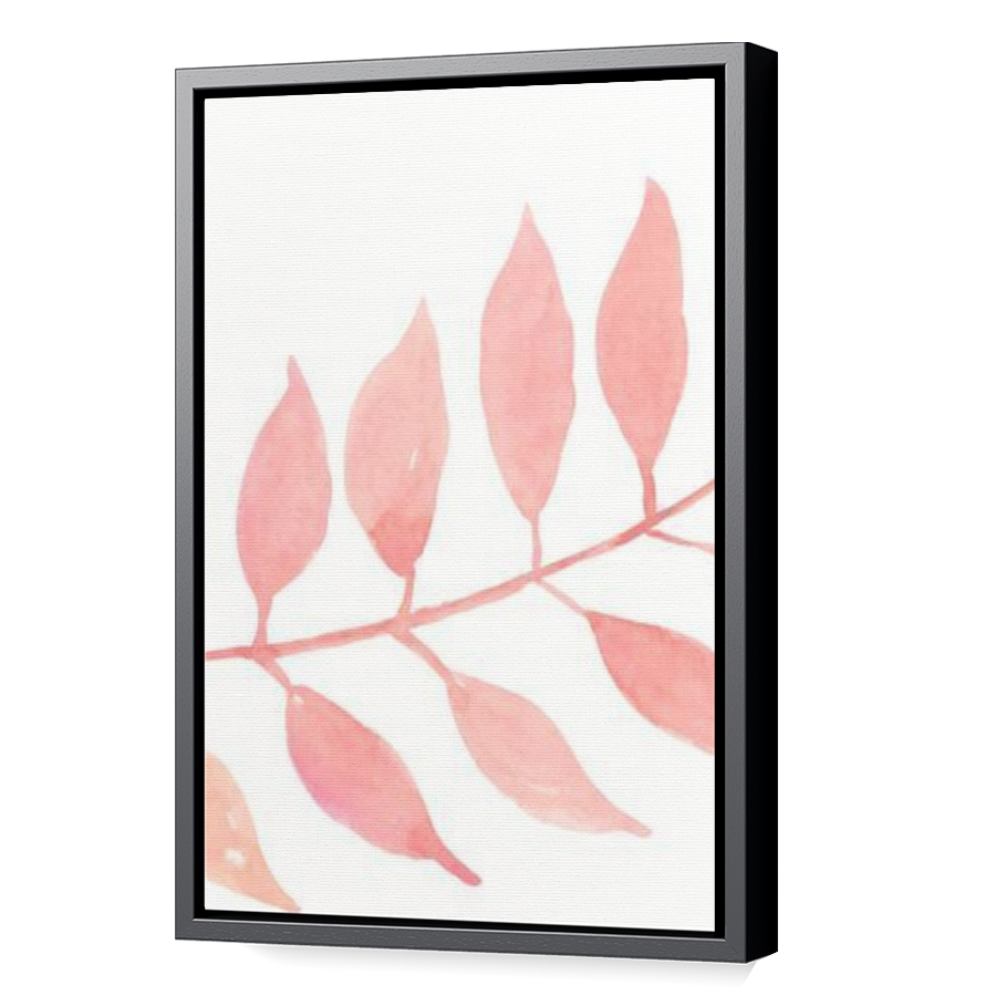 Thumbnail for Canvas - Black Floating Frame