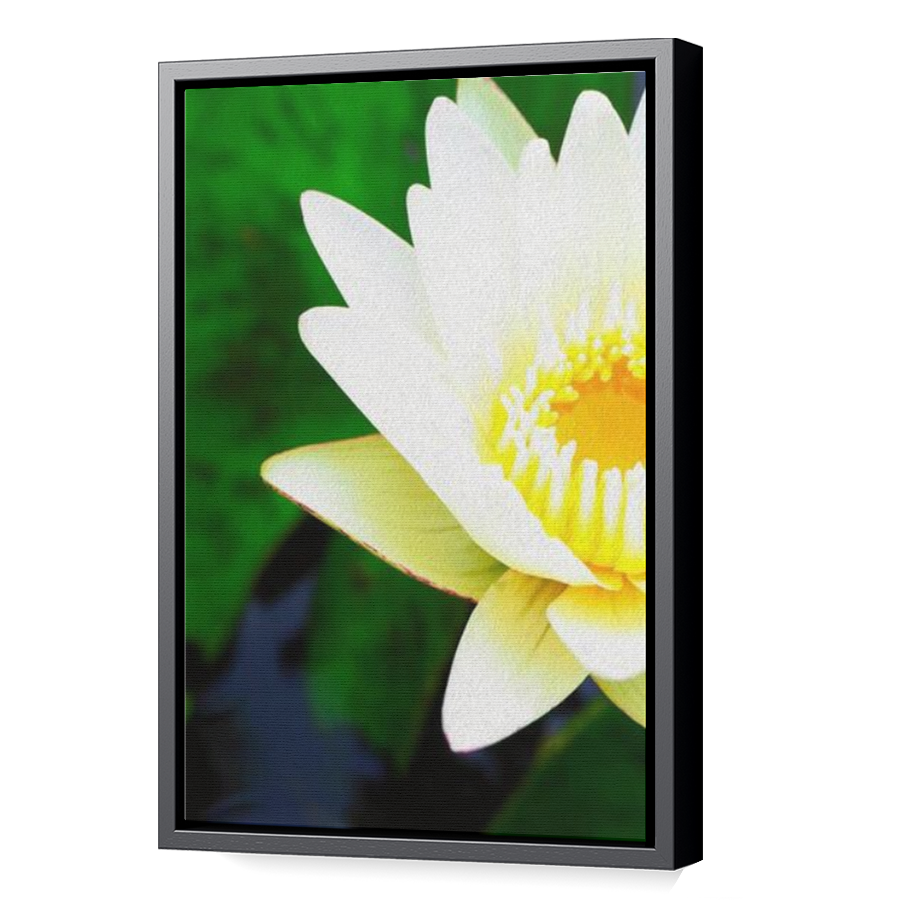 Thumbnail for Canvas - Black Floating Frame