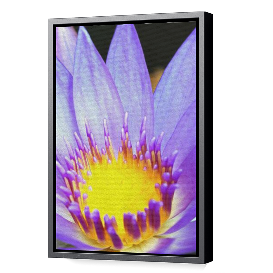 Thumbnail for Canvas - Black Floating Frame