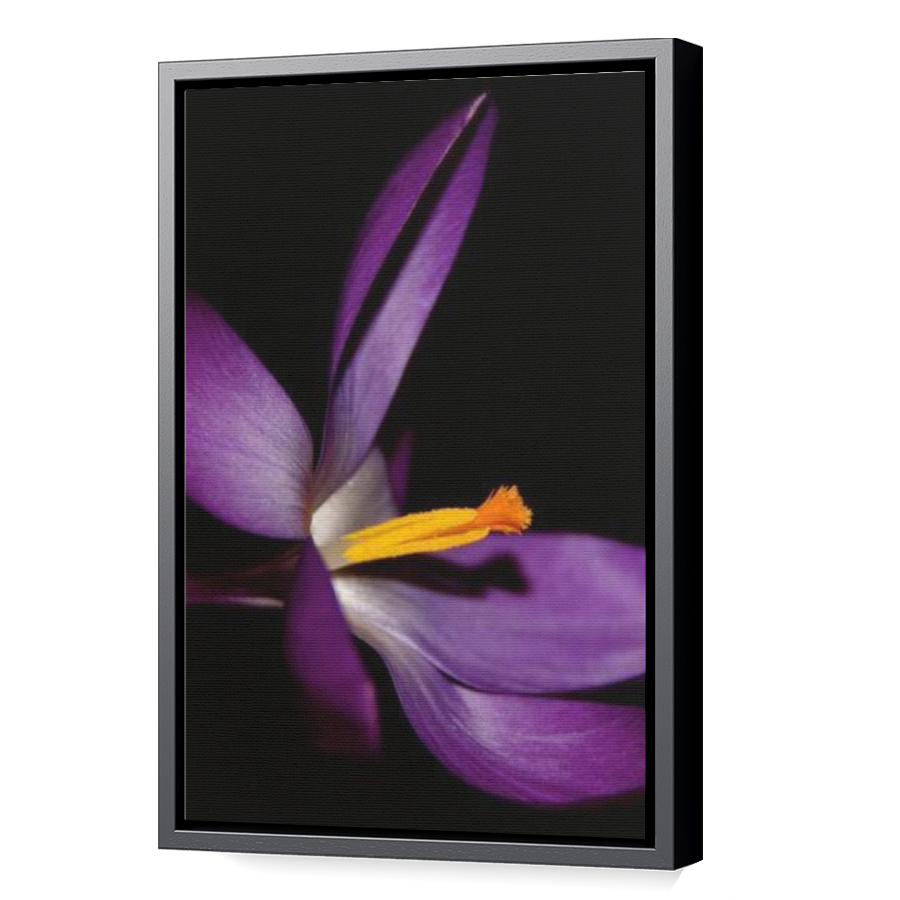 Thumbnail for Canvas - Black Floating Frame