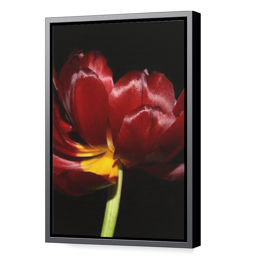 Thumbnail for Canvas - Black Floating Frame