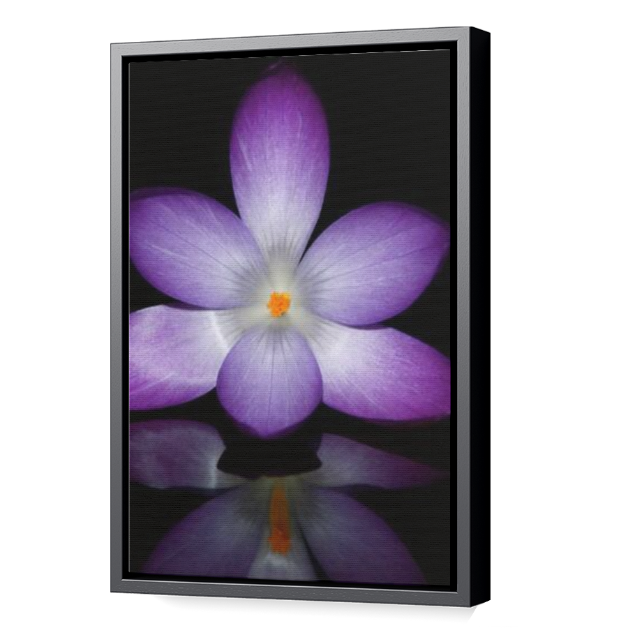 Thumbnail for Canvas - Black Floating Frame