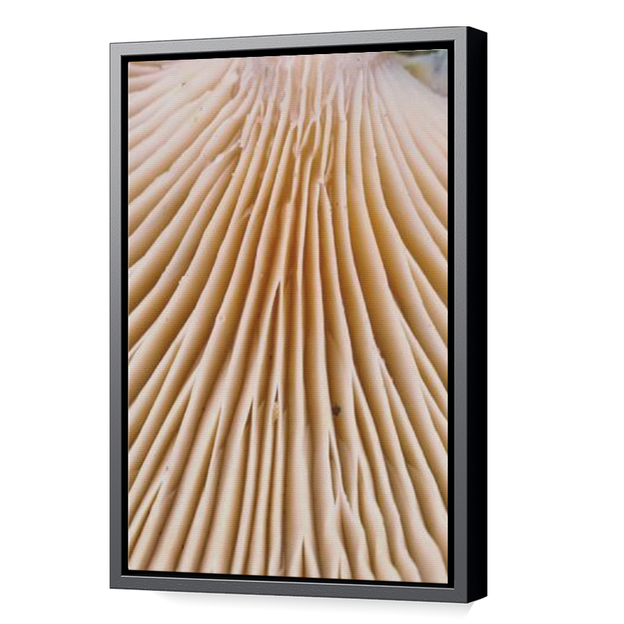 Thumbnail for Canvas - Black Floating Frame