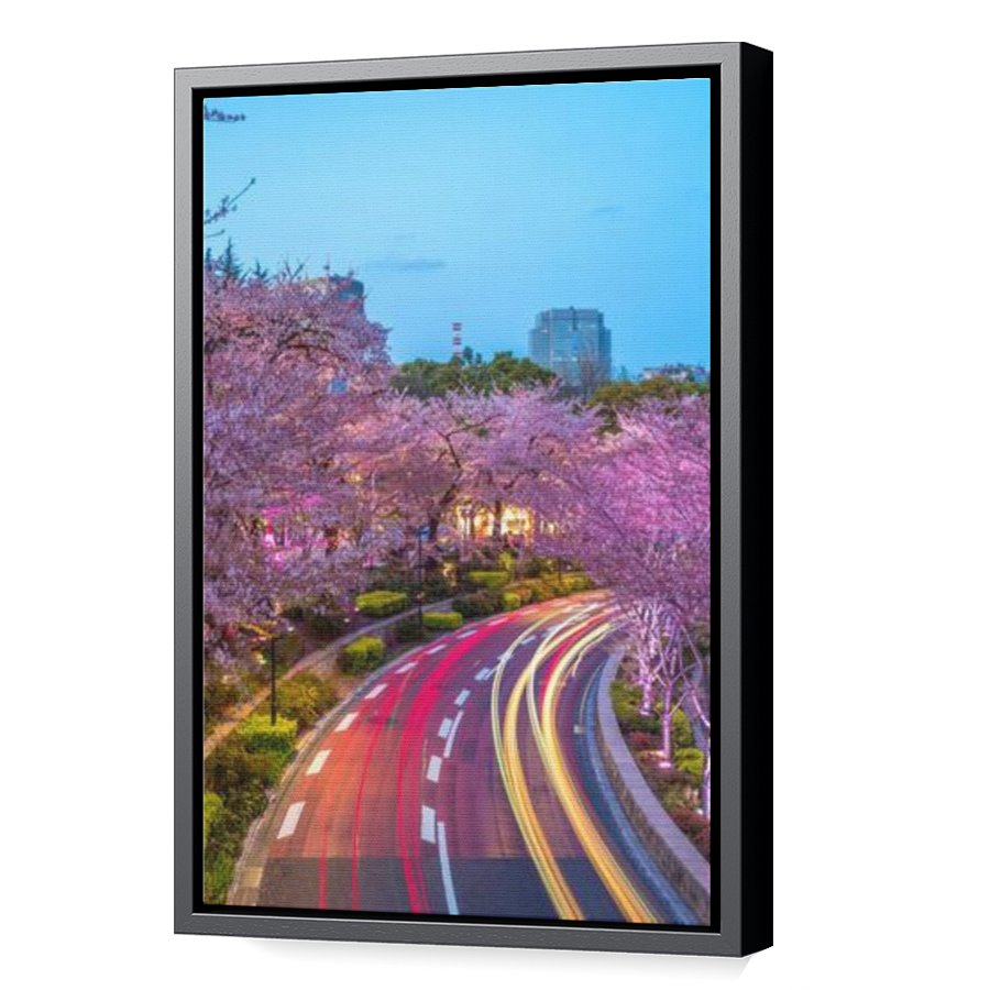 Thumbnail for Canvas - Black Floating Frame