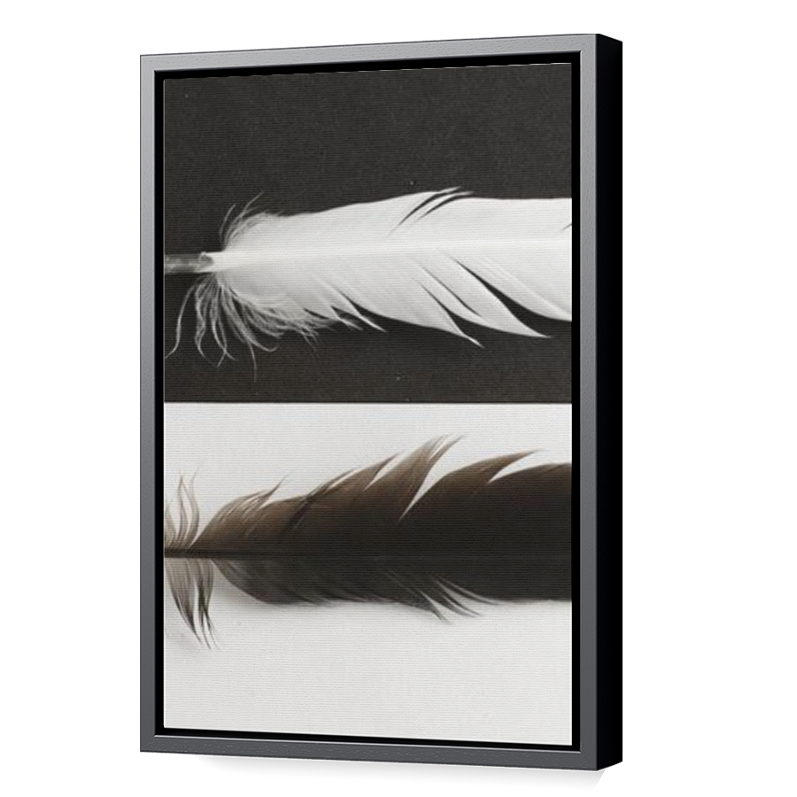 Thumbnail for Canvas - Black Floating Frame