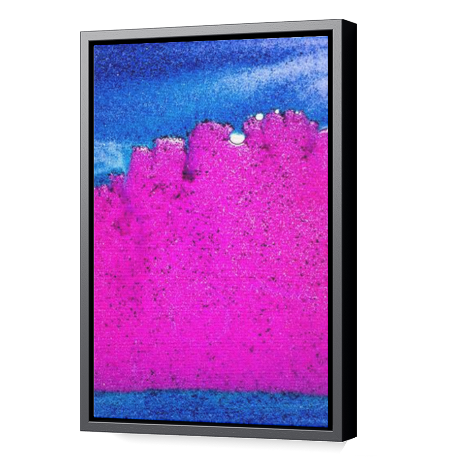 Thumbnail for Canvas - Black Floating Frame