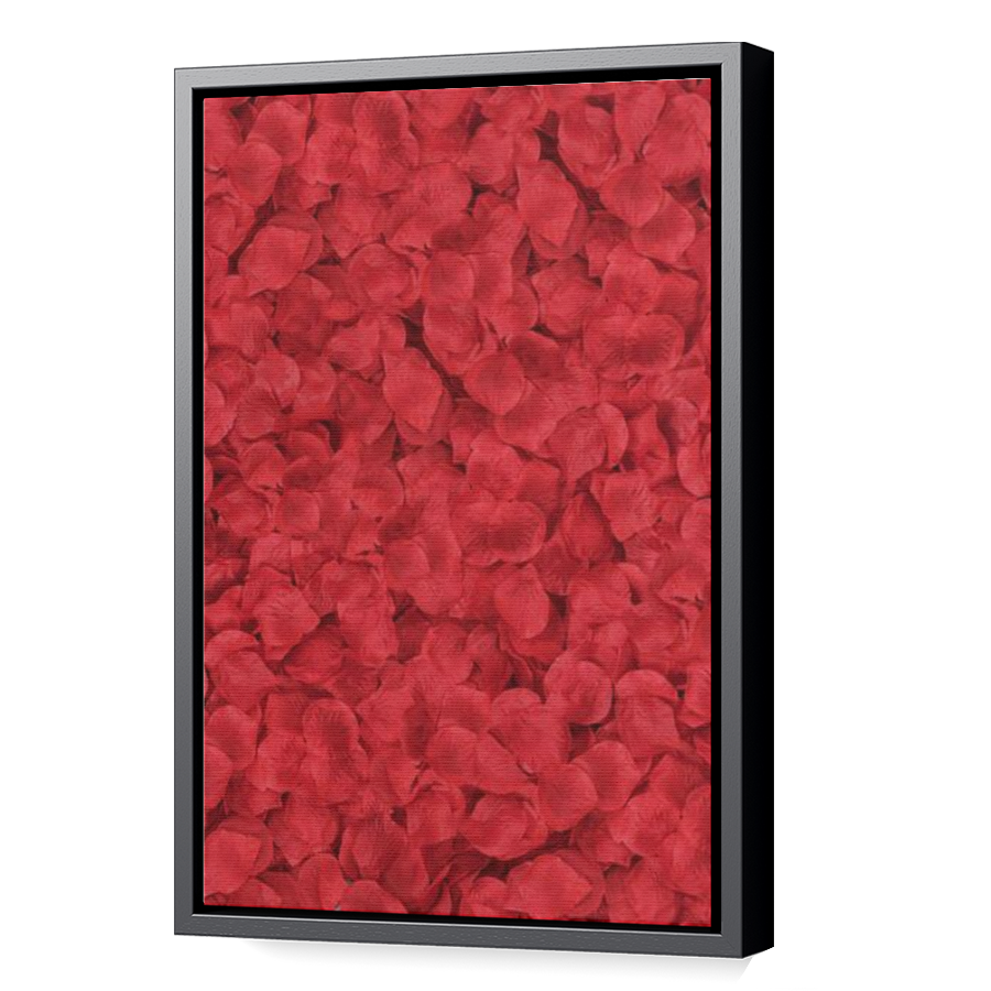 Thumbnail for Canvas - Black Floating Frame