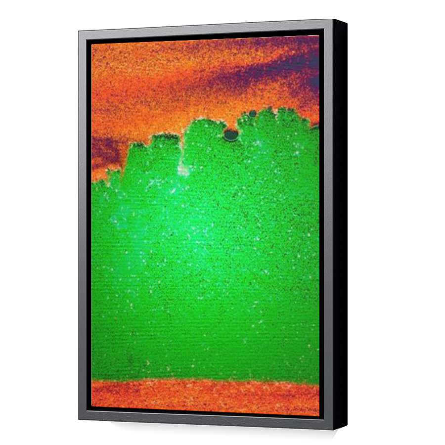 Thumbnail for Canvas - Black Floating Frame