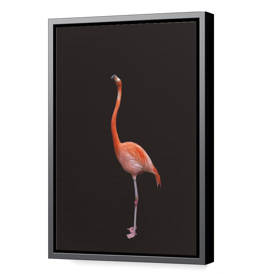 Thumbnail for Canvas - Black Floating Frame