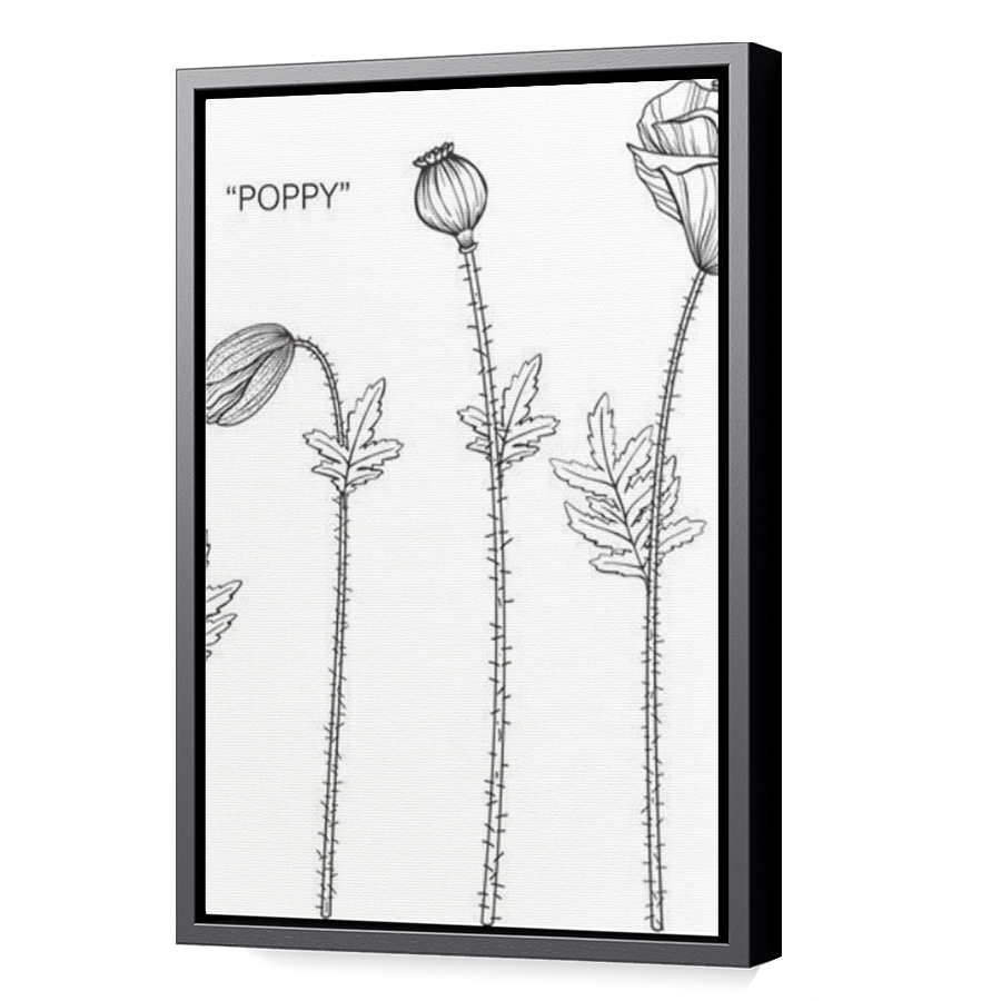 Thumbnail for Canvas - Black Floating Frame