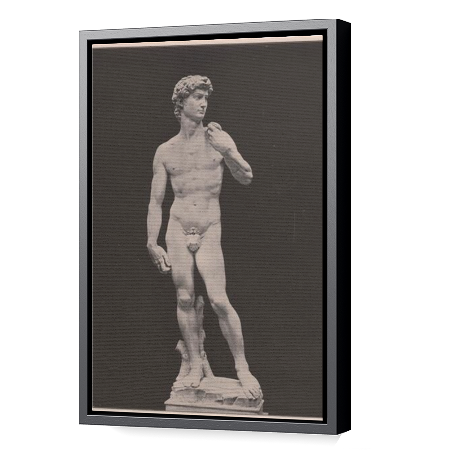 Thumbnail for Canvas - Black Floating Frame