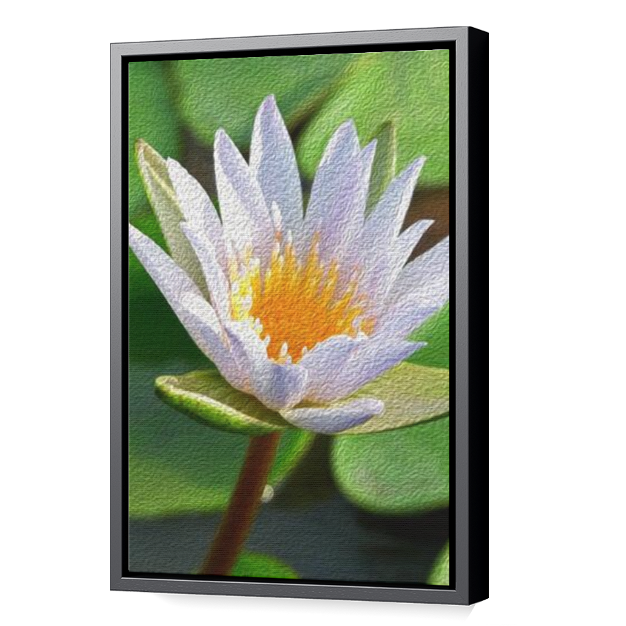 Thumbnail for Canvas - Black Floating Frame