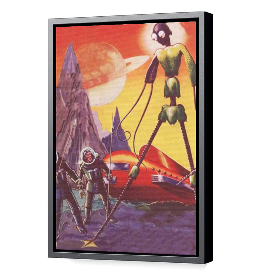 Thumbnail for Canvas - Black Floating Frame