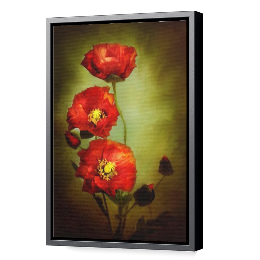Thumbnail for Canvas - Black Floating Frame