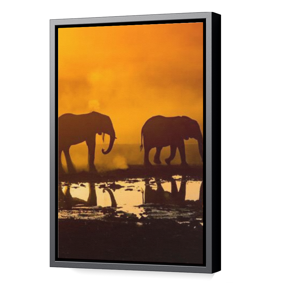 Thumbnail for Canvas - Black Floating Frame