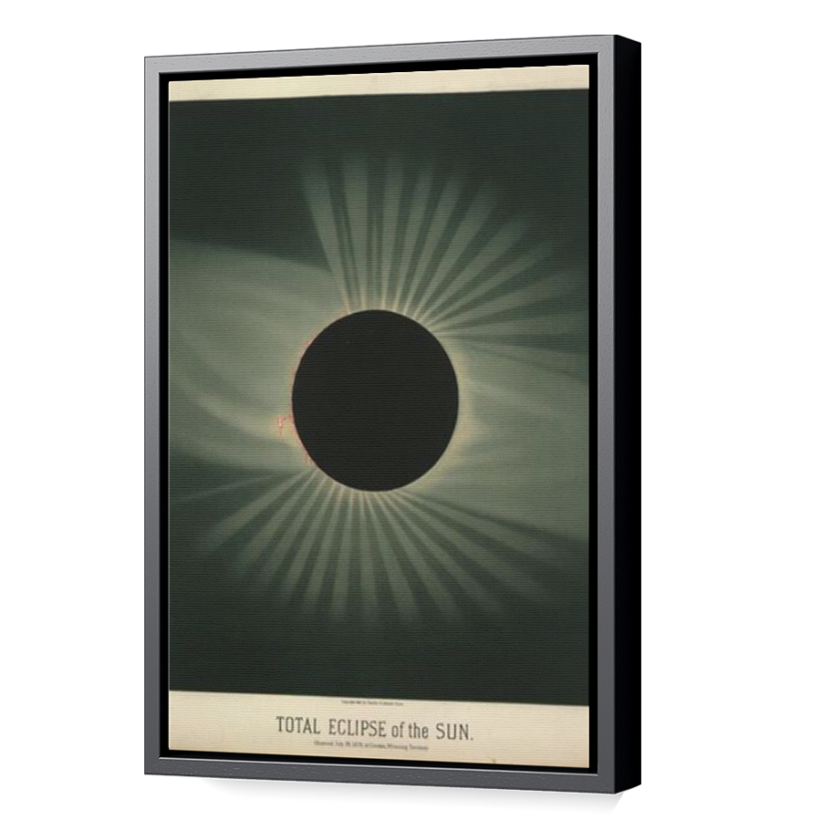 Thumbnail for Canvas - Black Floating Frame