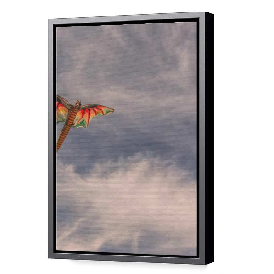 Thumbnail for Canvas - Black Floating Frame