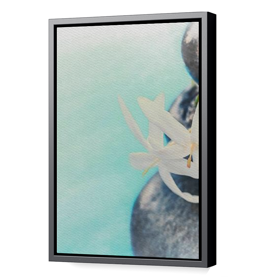Thumbnail for Canvas - Black Floating Frame