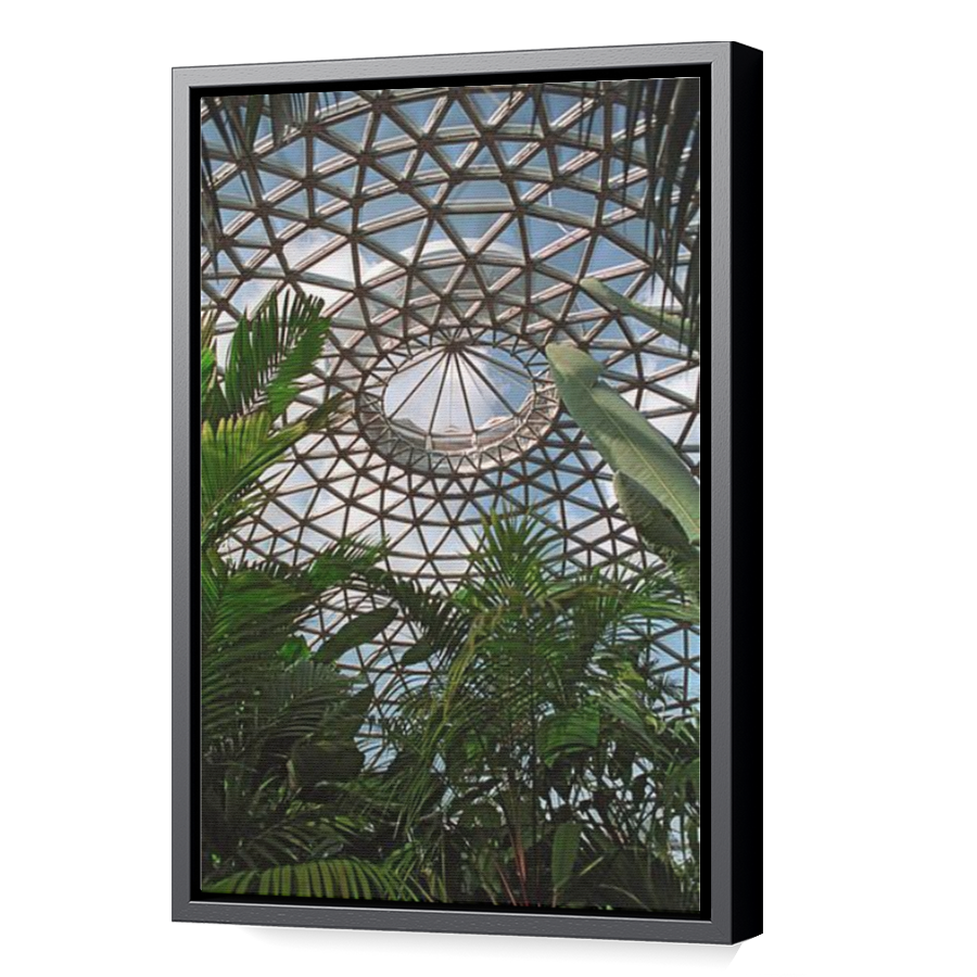 Thumbnail for Canvas - Black Floating Frame