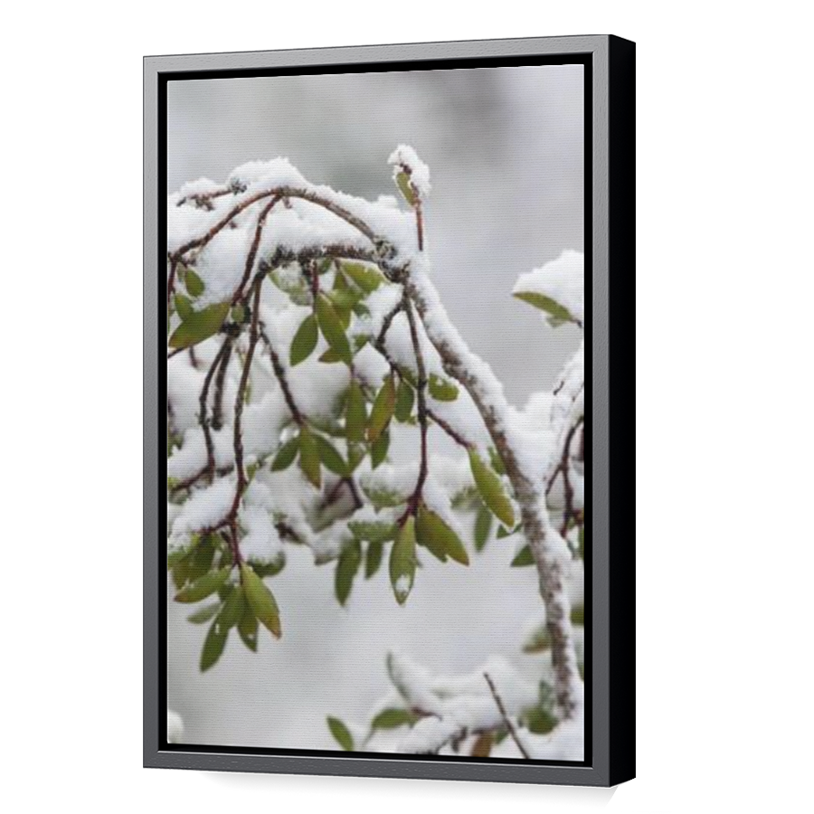 Thumbnail for Canvas - Black Floating Frame
