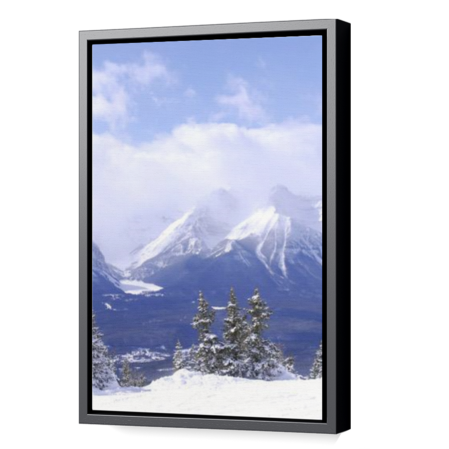 Thumbnail for Canvas - Black Floating Frame
