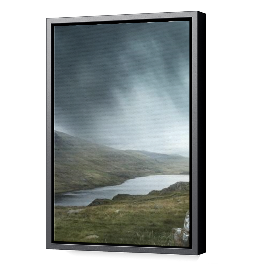 Thumbnail for Canvas - Black Floating Frame