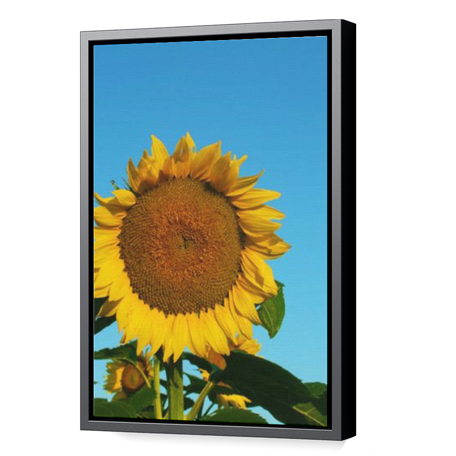 Thumbnail for Canvas - Black Floating Frame