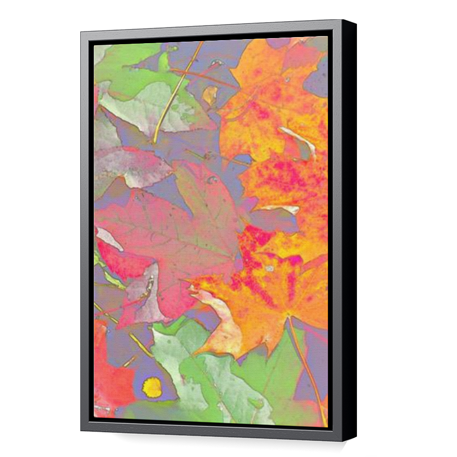 Thumbnail for Canvas - Black Floating Frame