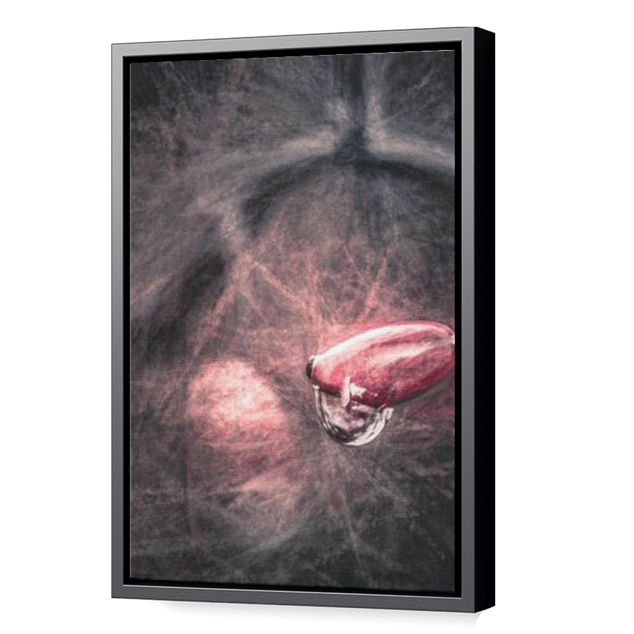Thumbnail for Canvas - Black Floating Frame