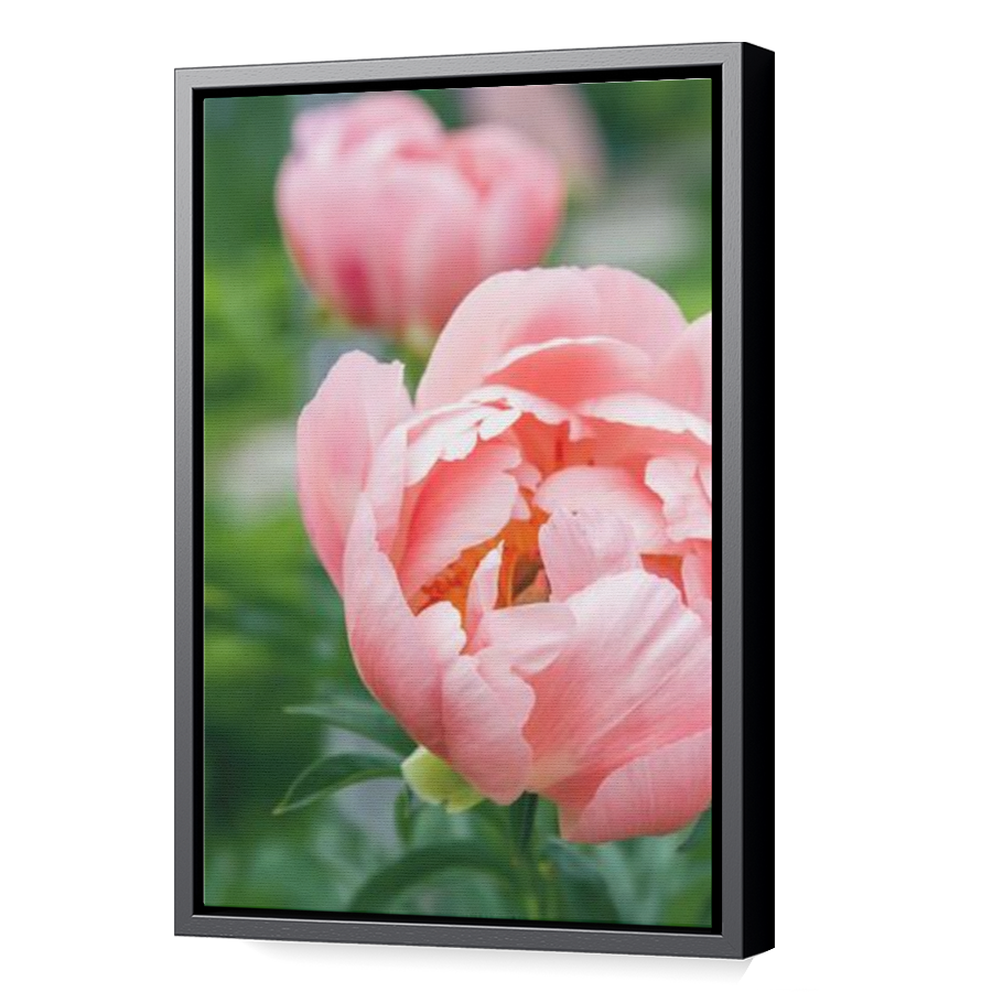 Thumbnail for Canvas - Black Floating Frame
