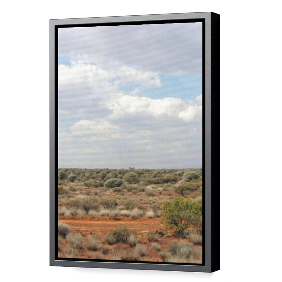Thumbnail for Canvas - Black Floating Frame