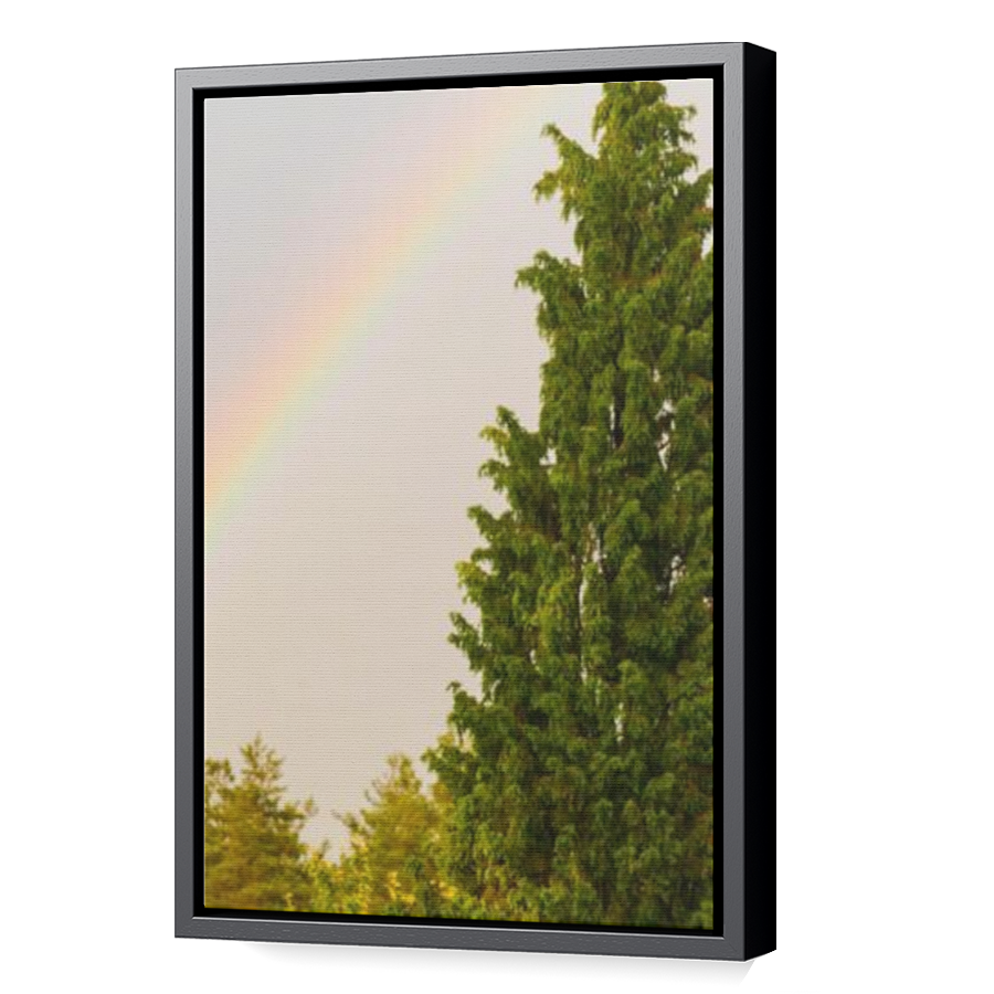 Thumbnail for Canvas - Black Floating Frame