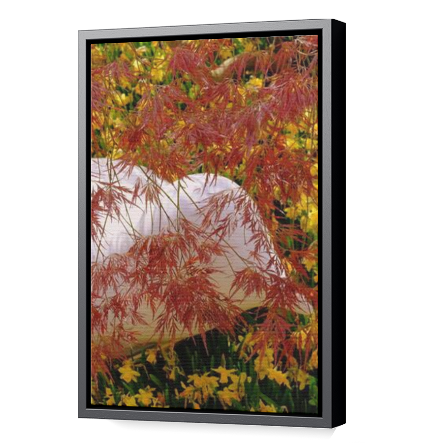 Thumbnail for Canvas - Black Floating Frame