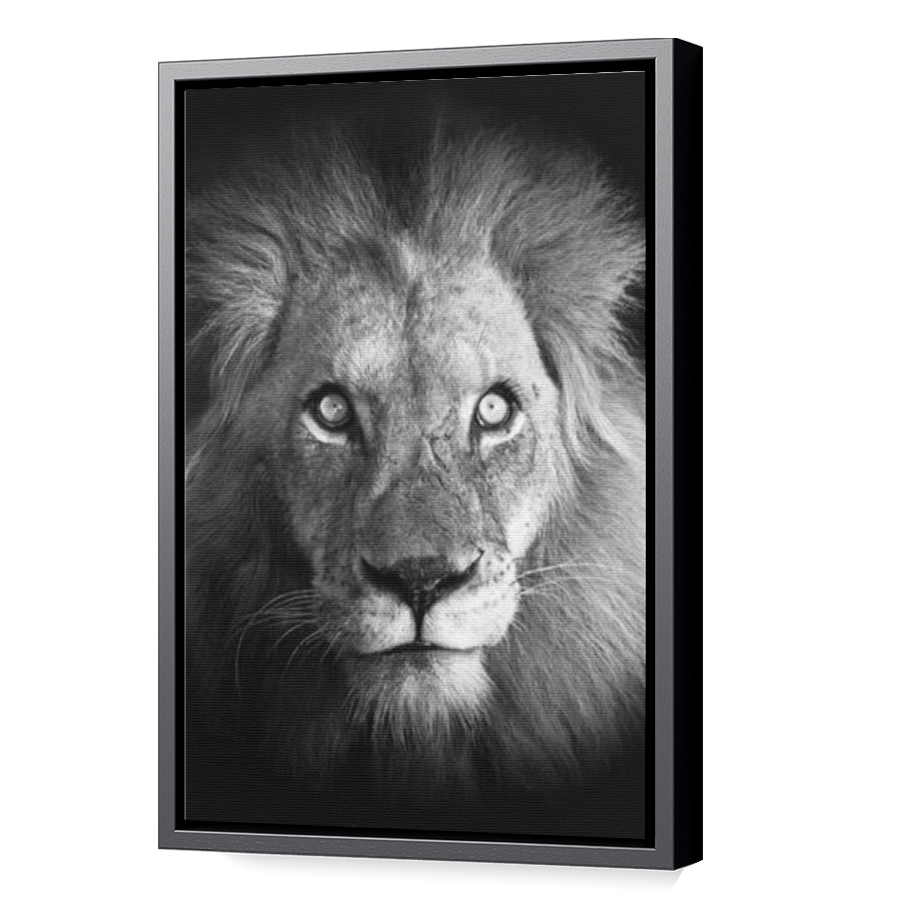 Thumbnail for Canvas - Black Floating Frame
