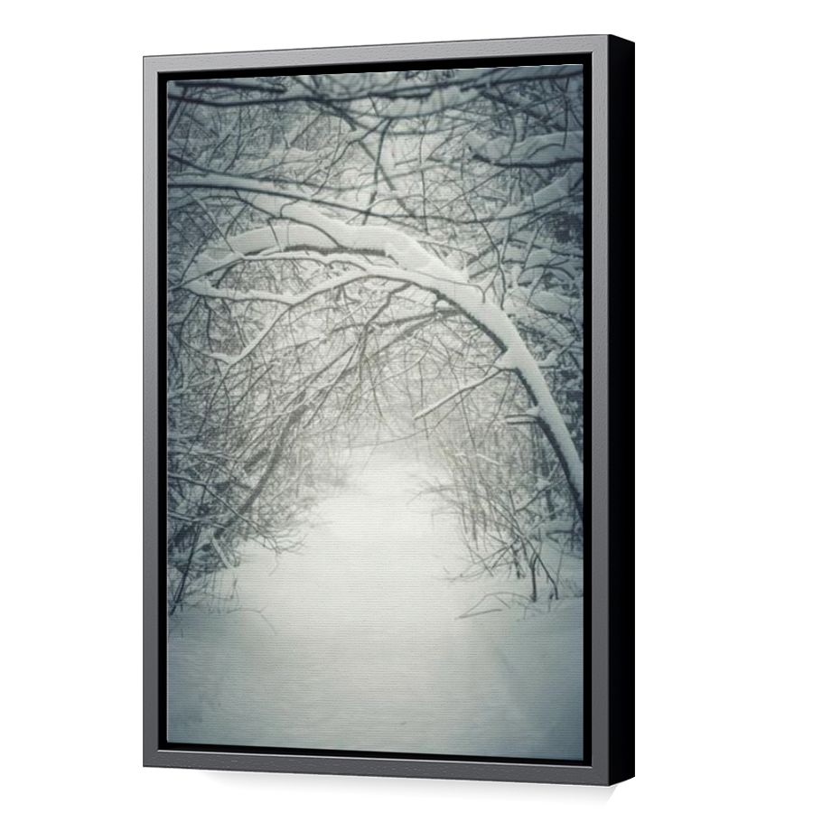 Thumbnail for Canvas - Black Floating Frame