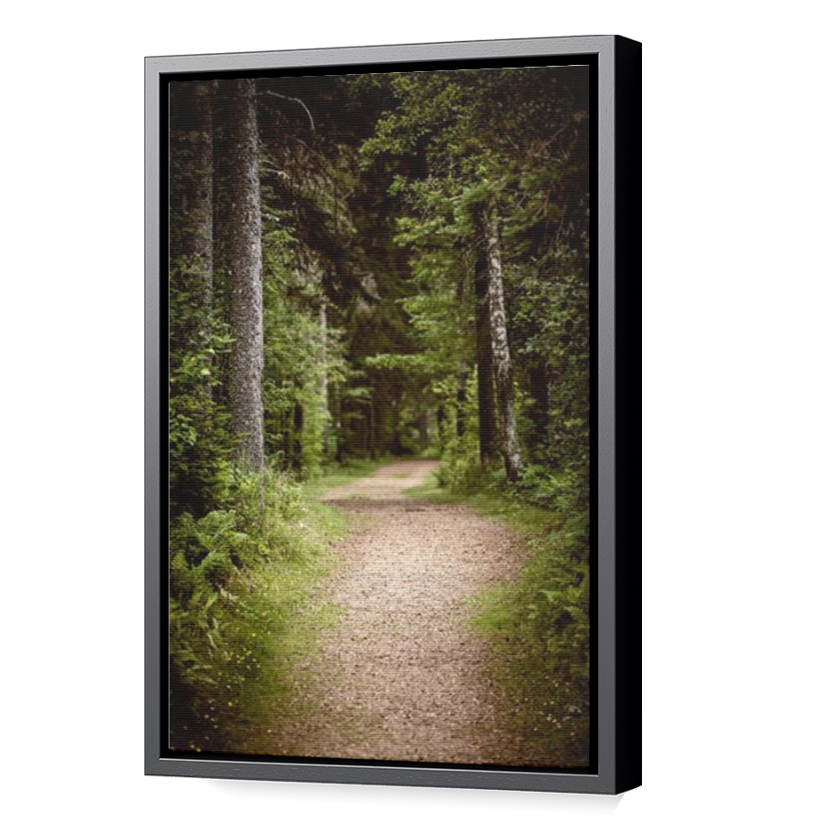 Thumbnail for Canvas - Black Floating Frame