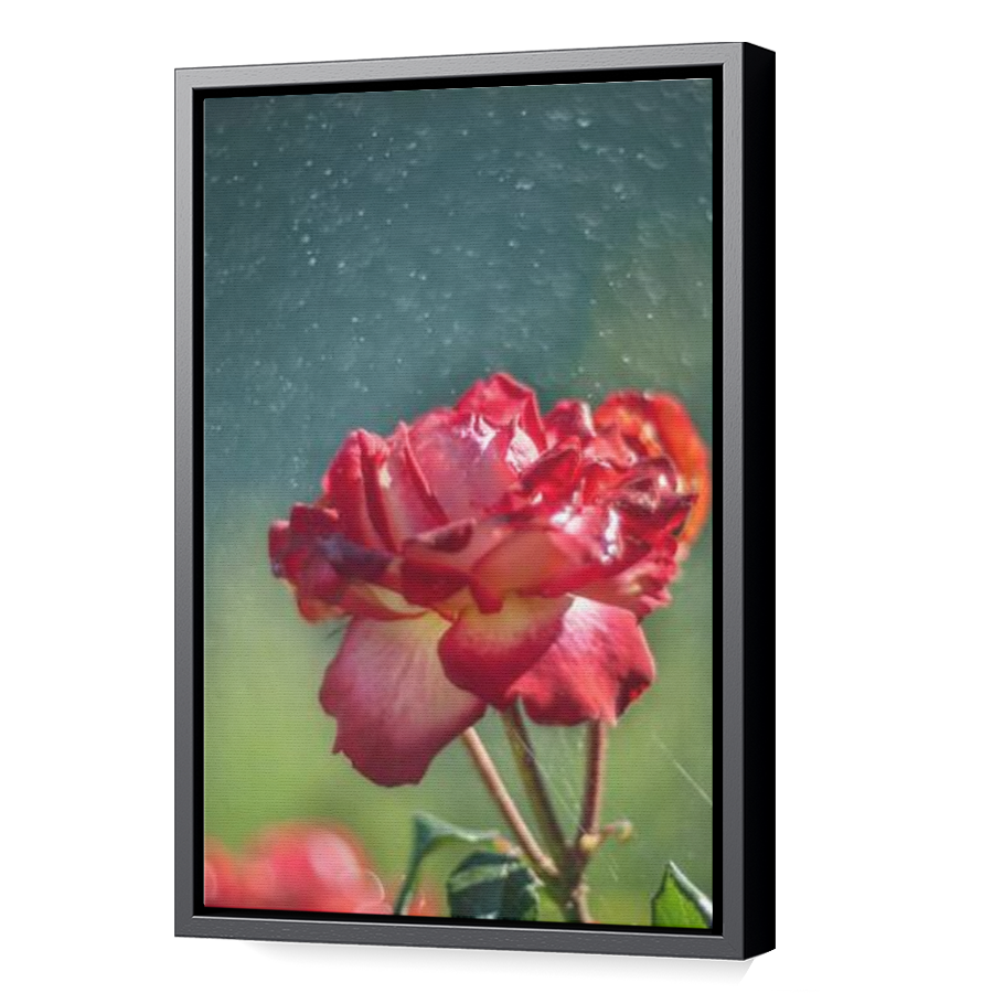 Thumbnail for Canvas - Black Floating Frame