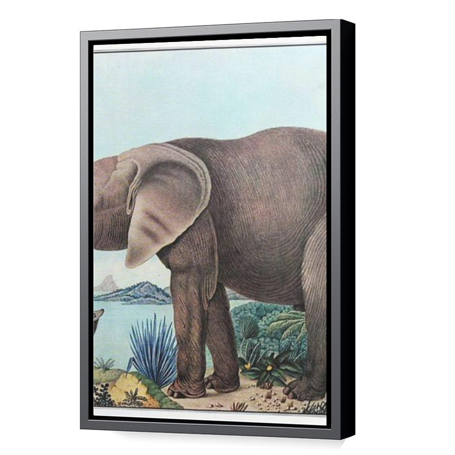Thumbnail for Canvas - Black Floating Frame