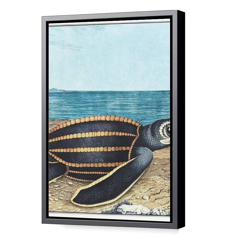 Thumbnail for Canvas - Black Floating Frame