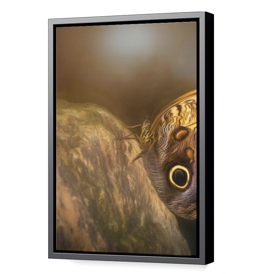 Thumbnail for Canvas - Black Floating Frame