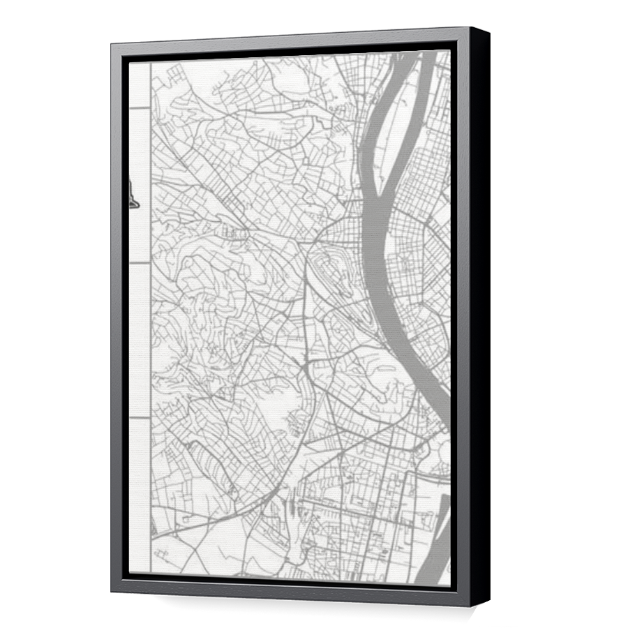 Thumbnail for Canvas - Black Floating Frame